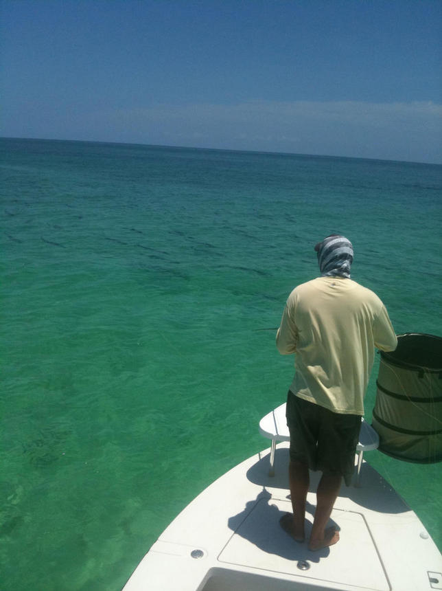 LOWER KEYS TARPON GUIDES, "BIG PINE KEY" FLY GUIDE DOLPHIN MARINA