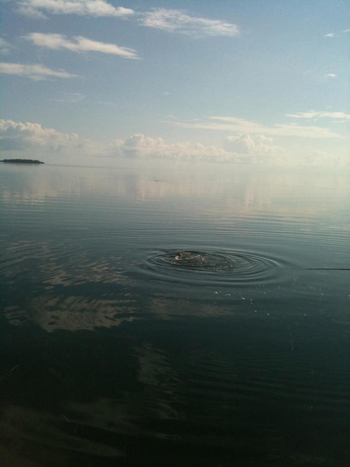 FLY FISHING FOR TARPON "DOLPHIN MARINA LITTLE TORCH"