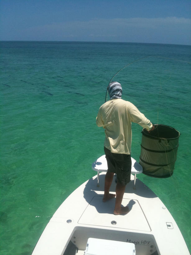FISHING CLUB BAHIA HONDA