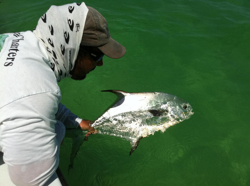 TARPON FISHING FLORIDA KEYS