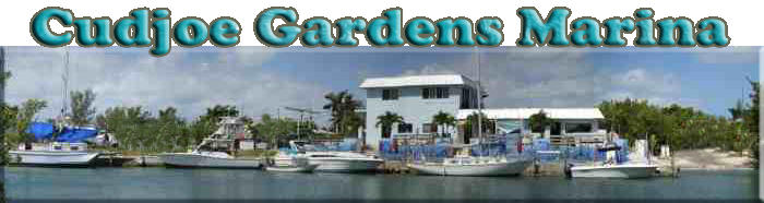 BAHIA HONDA TARPON GUIDES