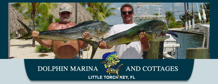 DOLPHIN MARINA AND COTTAGES FLY FISHING GUIDES "PLACES FOR FISHING SUMMERLAND KEY,FL."