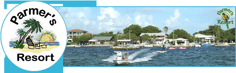 fly fishing summerland key
