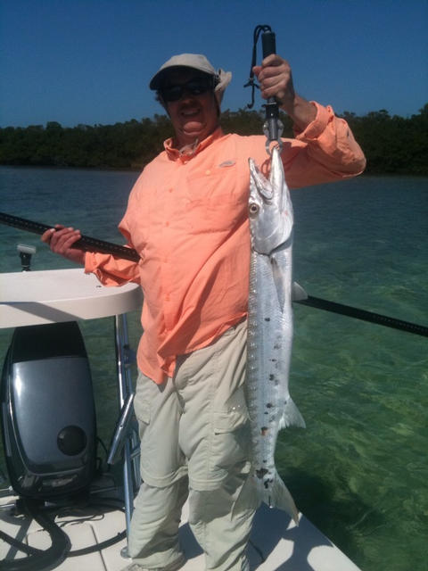 Barracuda