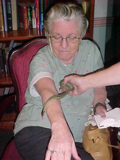 TOUCHING A SNAKE