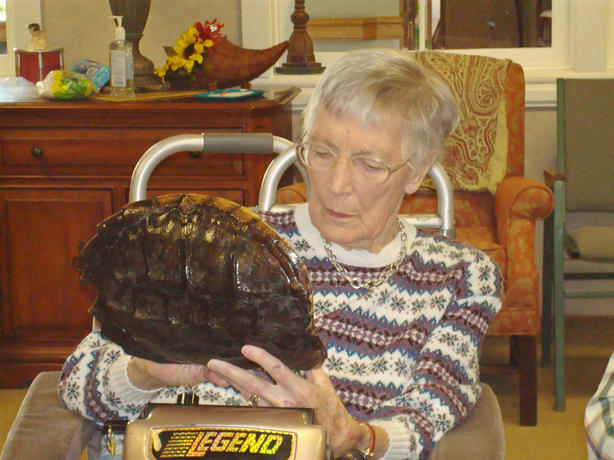 CHECKING OUT A TURTLE SHELL
