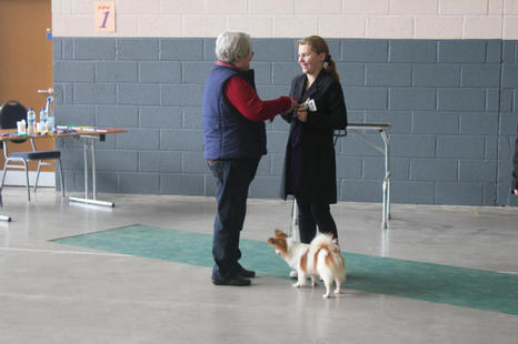 Kathryn wining Best Junior Handler In Show