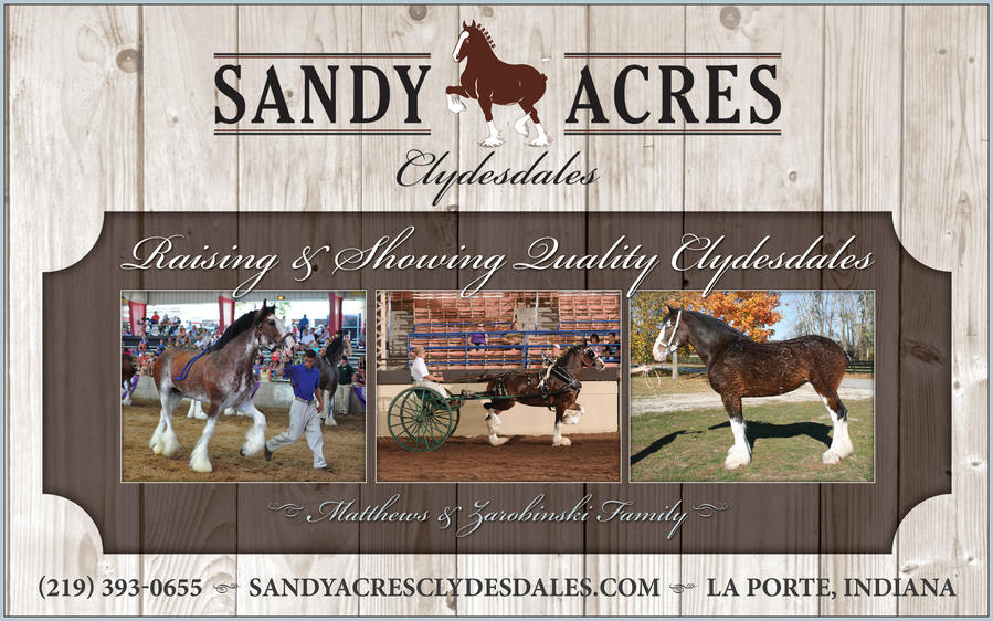 Banner for Sandy Acres Clydesdales