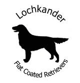 Lochkander Flat Coated Retrievers Logo