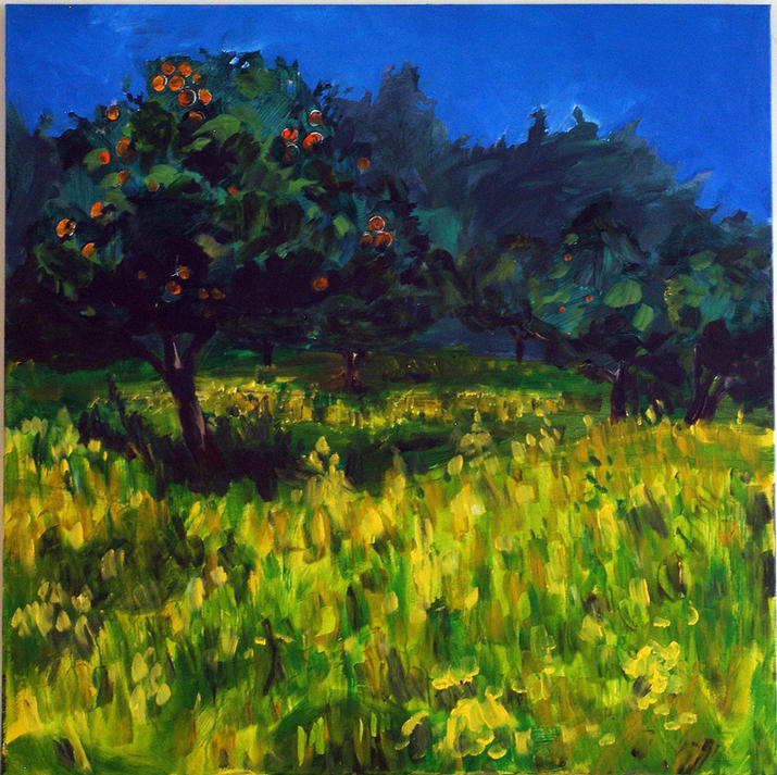 ORANGE GROVE