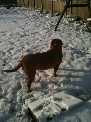 babe playing in the snow