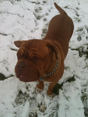 babe playing in the snow