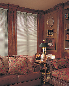 Aluminum 1" Miniblind