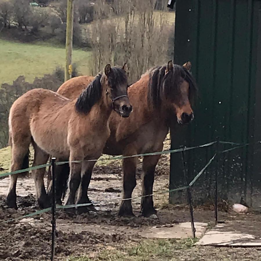 Tom with his friend