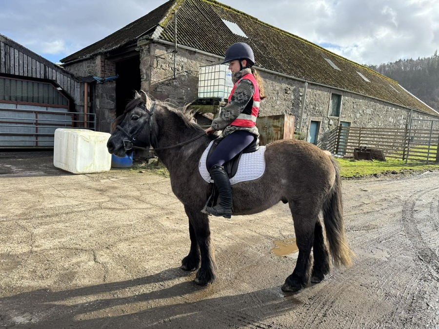 Struan of Achnacarry