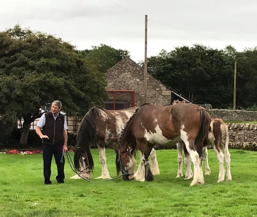 Ronnie & Jis Clydesdales.