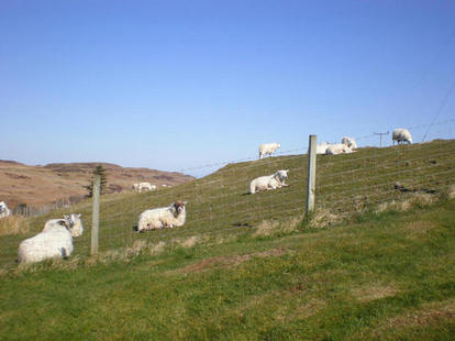 The view from the kitchen window