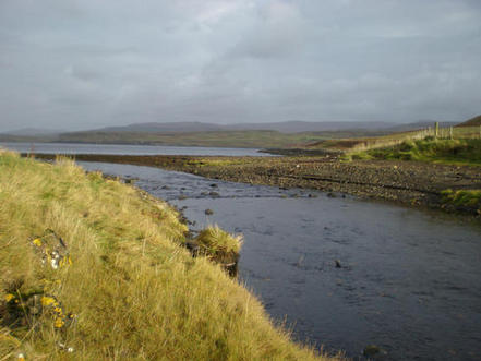 Taken on a walk to the seashore, 300 metres from 6 Knott
