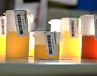 Submitted Test Samples For Banned Substances
