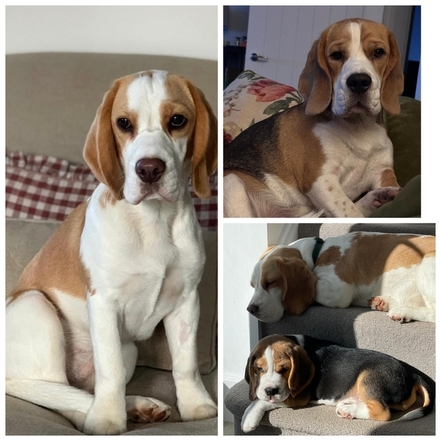 Peggoty and Ernest