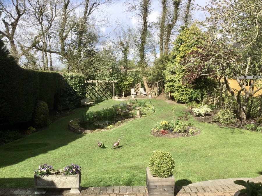 Garden view