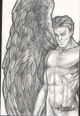 ©2003 Andrew Cremeans