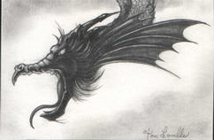 ©2003 Tom Lavelle