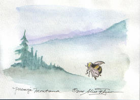 ©2004 Alice Flynn
