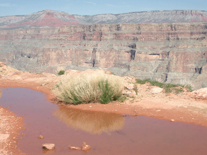 Grand Canyon #2