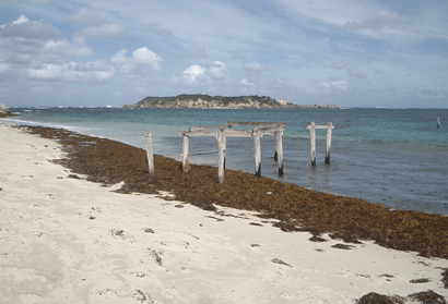 Hamelin Bay