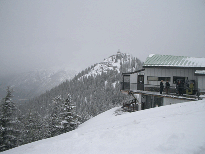 Top of Sulphur Mountain