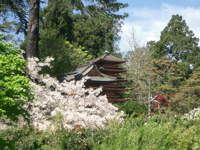 Japanese Tea Garden