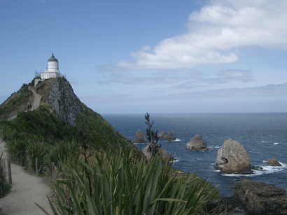 View at Nugget Point