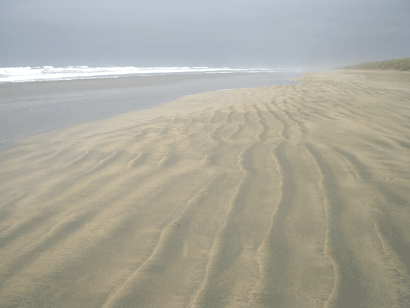 Ninety Mile Beach, Northland, NZ