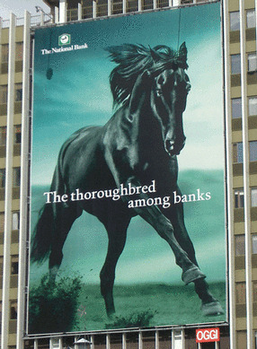 The Black Horse isn't dead, and no sign of TSB !