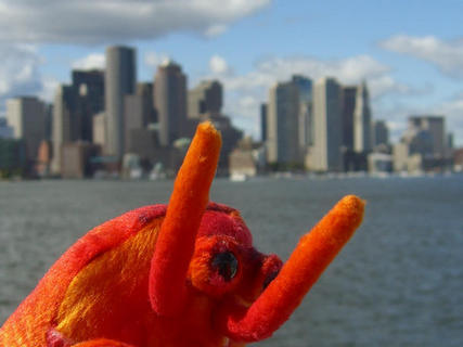 Looking for relatives in Boston Harbour