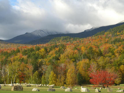 At base of Mount Washington Auto Road, Gorham