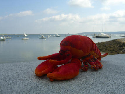 On the waterfront, Plymouth, Massachusetts