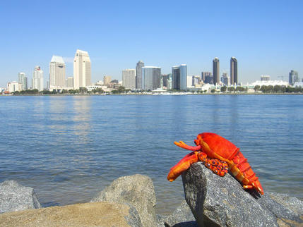 Enjoying the Harbour and Skyline, San Diego, California