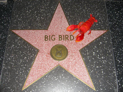 On the 'Walk of Fame', Hollywood, California