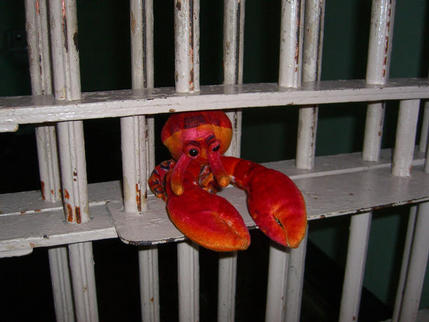 Escaping from Alcatraz, San Francisco Bay