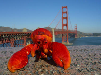 At the Golden Gate Bridge, San Francisco