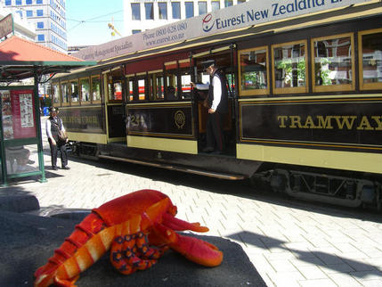 Looking at the Tram, Christchurch NZ