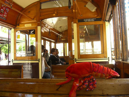 Enjoying a tram ride, Christchurch NZ