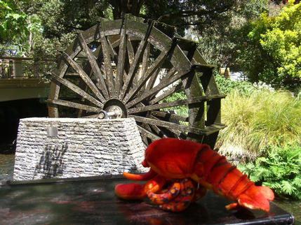 Visiting Mill Island, Christchurch NZ