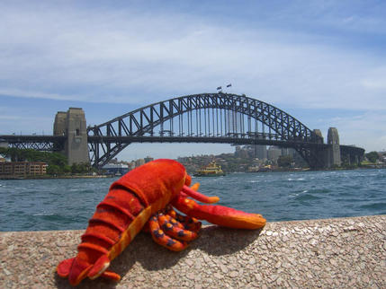 Looking at the Harbour Bridge, Sydney