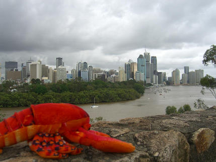 A river runs through it, Brisbane, Queensland