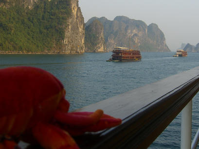 Enjoying a cruise on Ha Long Bay, Viet Nam