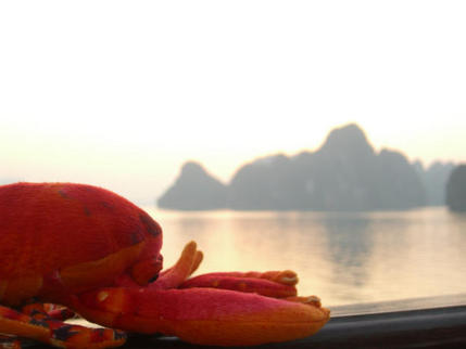 Dawn at Ha Long Bay, Viet Nam