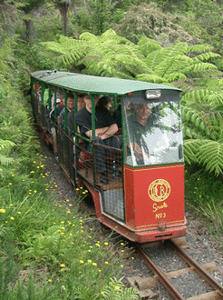 Train at Driving Creek Railway, Coromandel